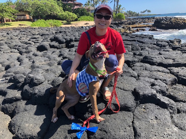 Erica is the Kauai Humane Society's volunteer of the month.