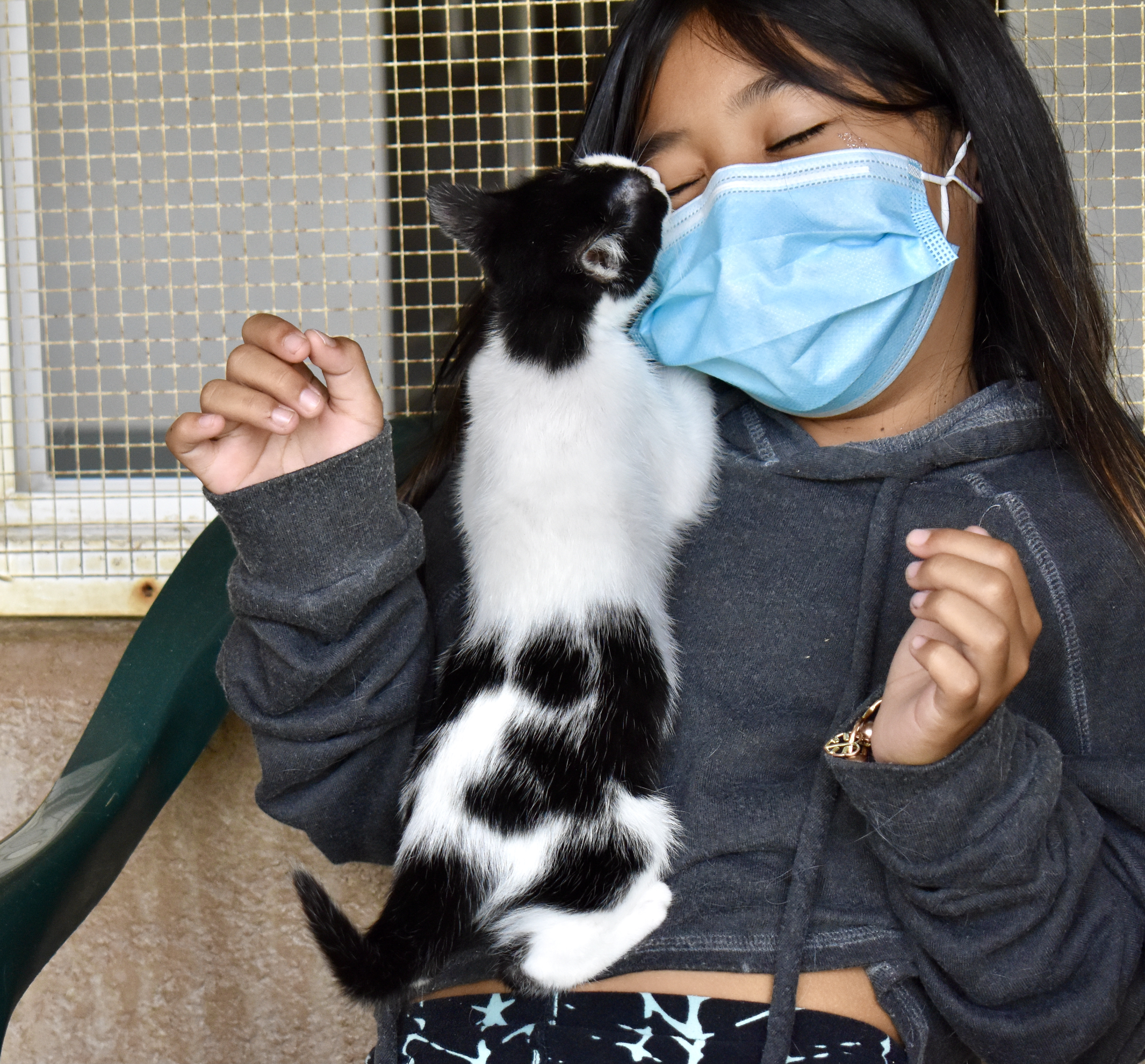 A volunteer playing with a kitten to get her photo.